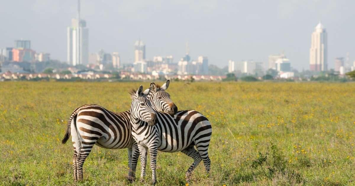 Why Invest In Kenya Real Estate Market