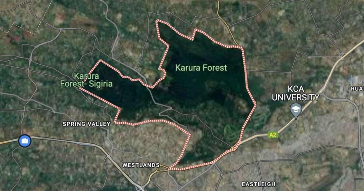 A Guide To Luxury Living in Muthaiga for Diaspora Investors
