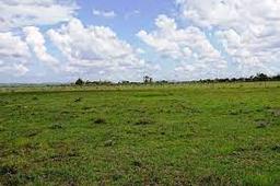 339 Acres