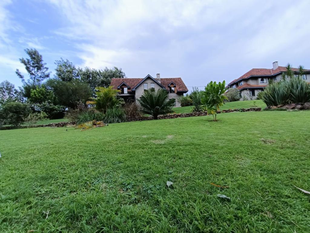 3 And 4 Bed Homes